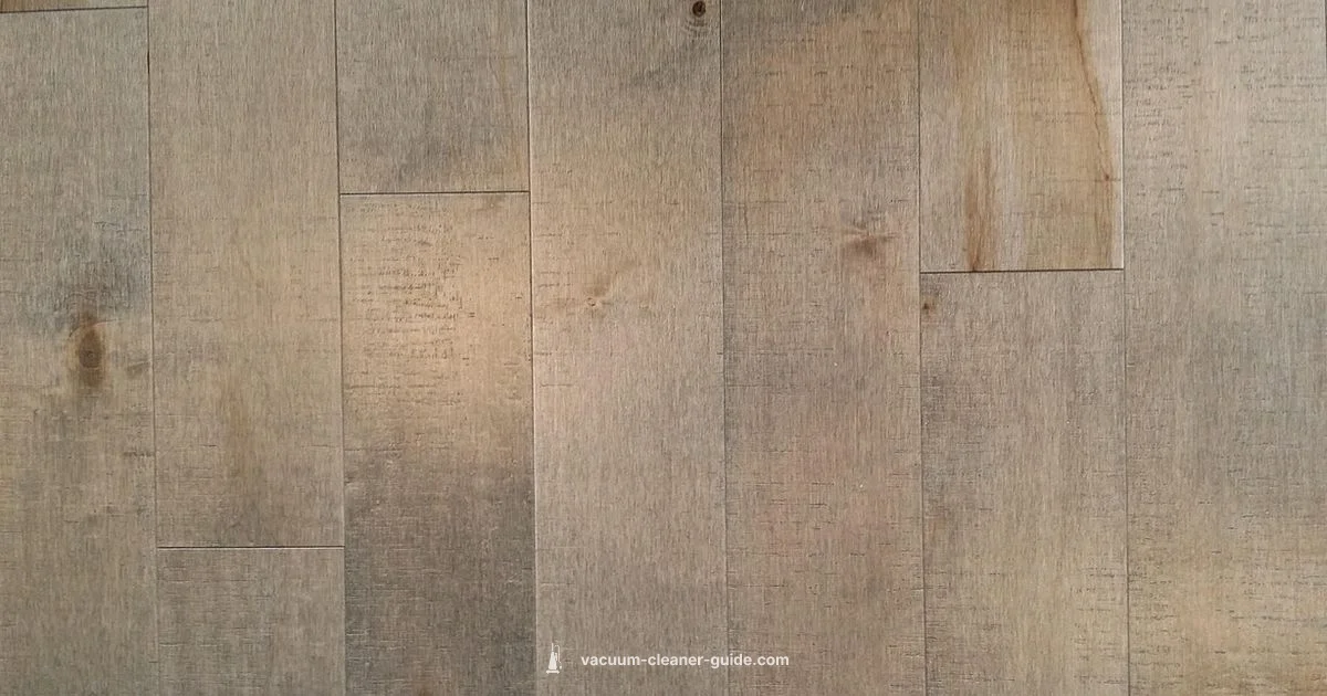 Scratch-Proof Vacuum - Vacuum Cleaner Guide