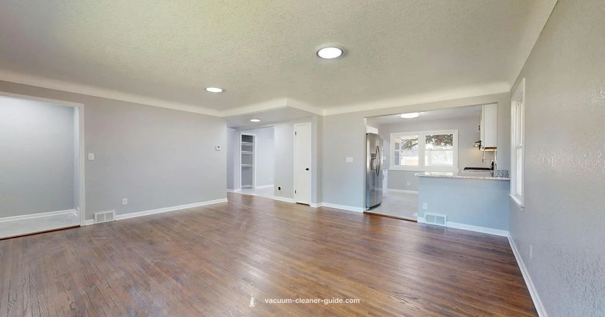 Dyson Laser Review - Vacuum Cleaner Guide