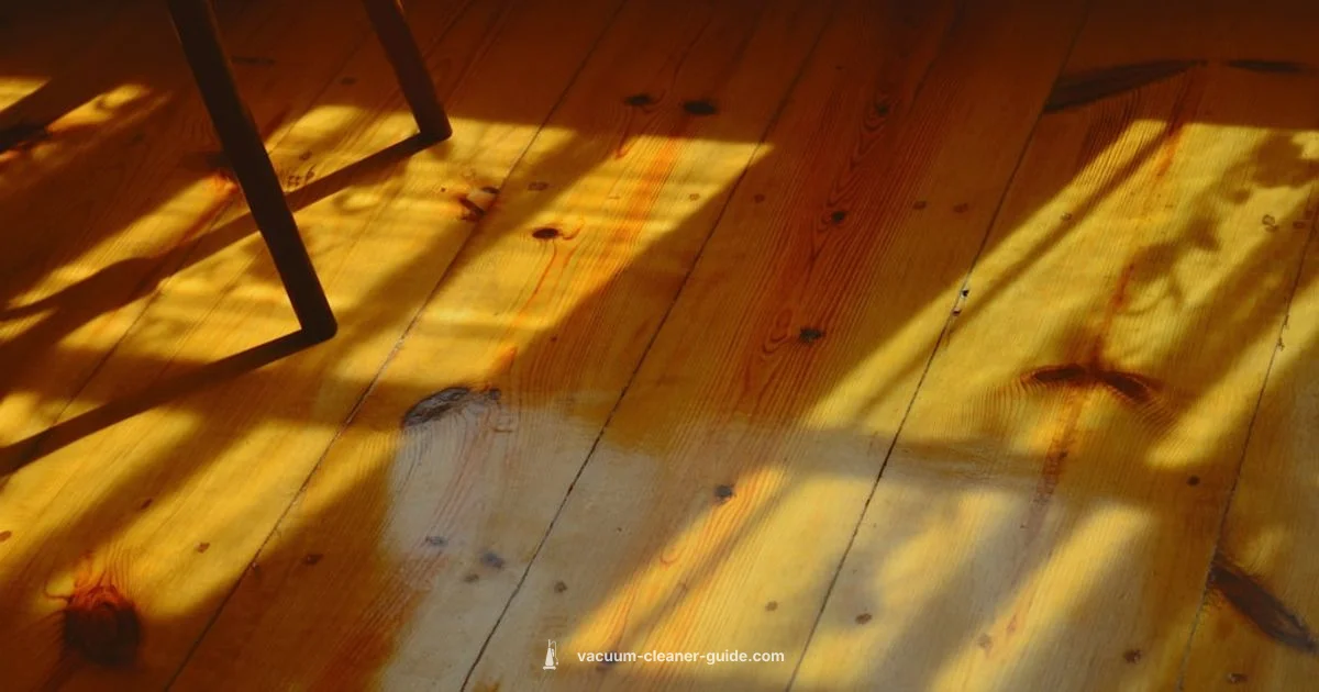 Hard Floor Cleaners - Vacuum Cleaner Guide