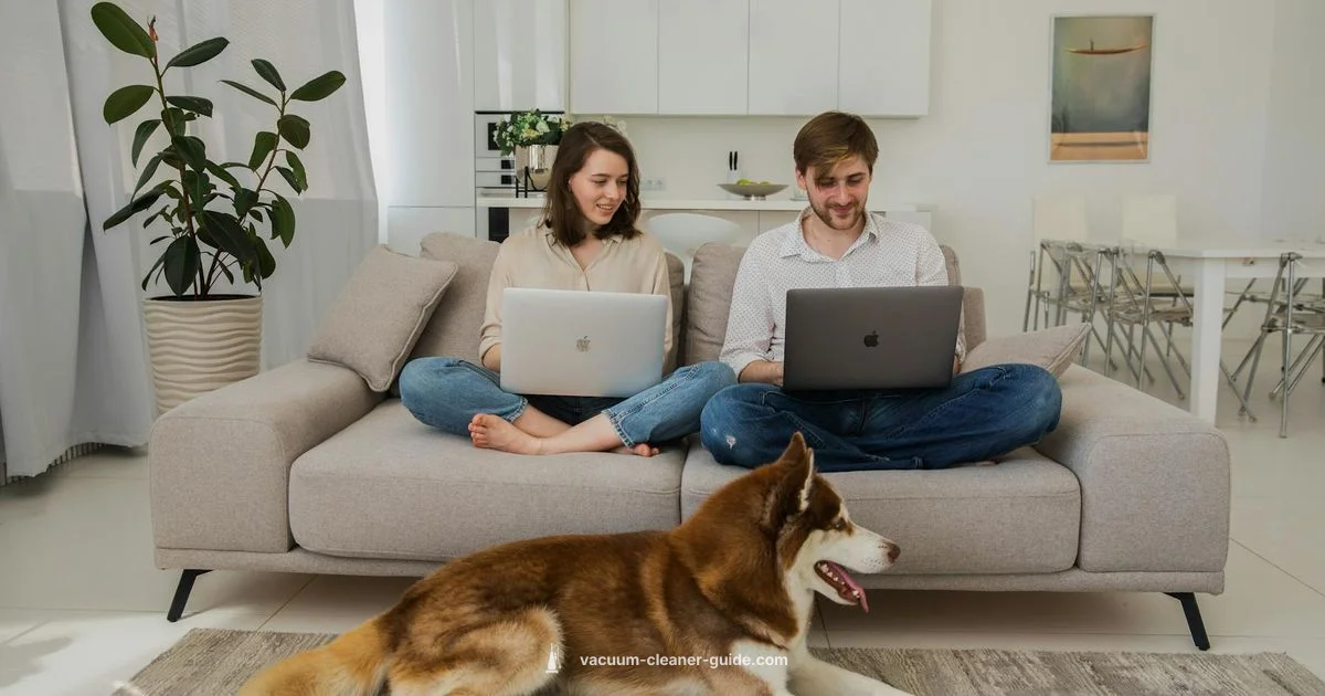 Coredy R750 Review - Vacuum Cleaner Guide