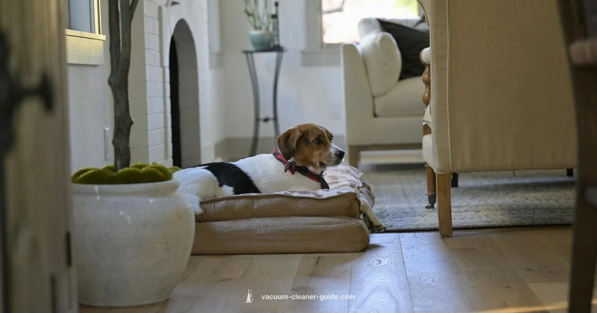 Cleaner with Character - Vacuum Cleaner Guide