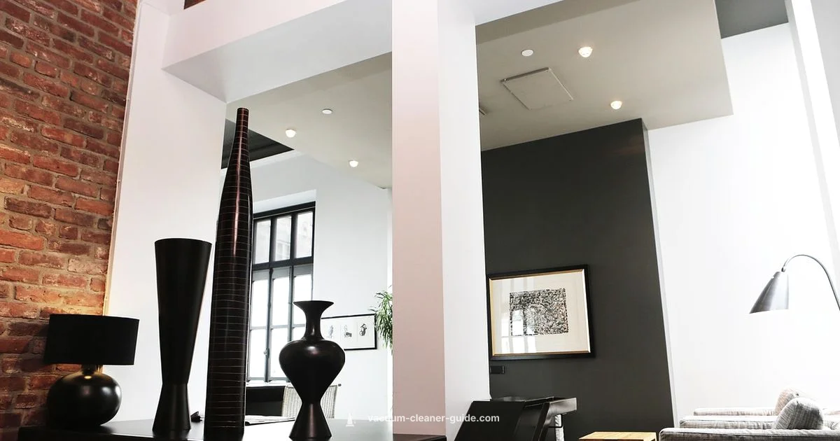 ibot in Action - Vacuum Cleaner Guide