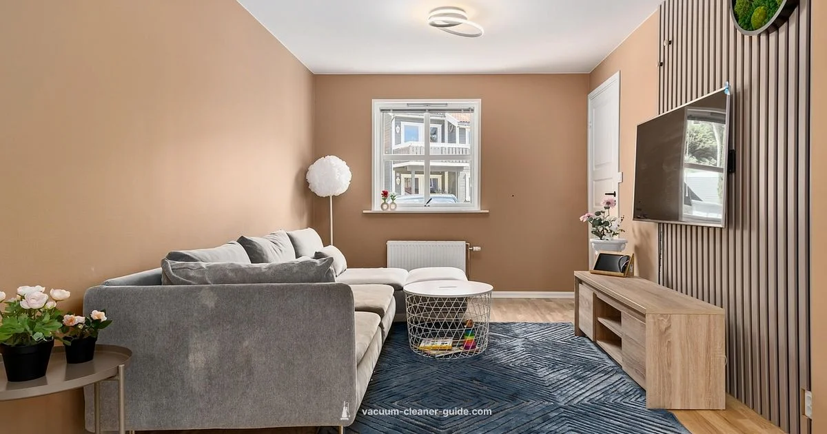 Carpet vs Hardwood - Vacuum Cleaner Guide