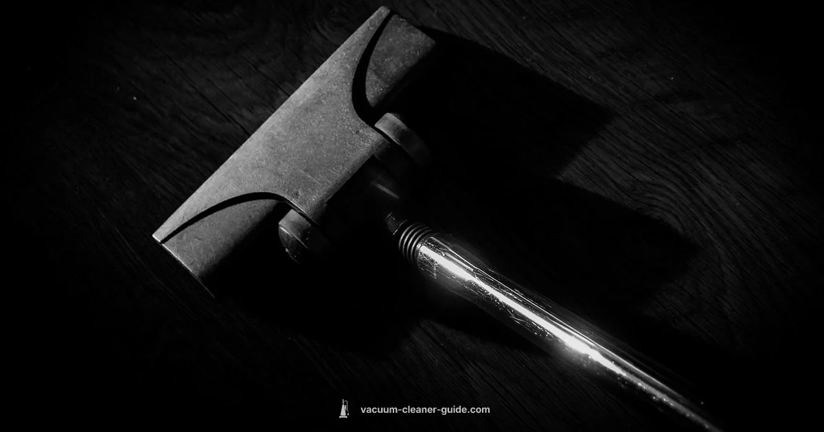 Clean Everyday Clean Everyday - Vacuum Cleaner Guide