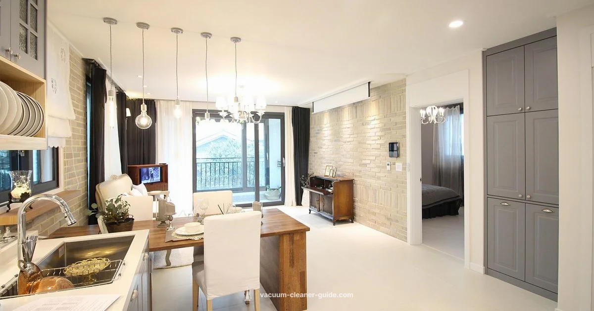 Vacuum Care Guide - Vacuum Cleaner Guide