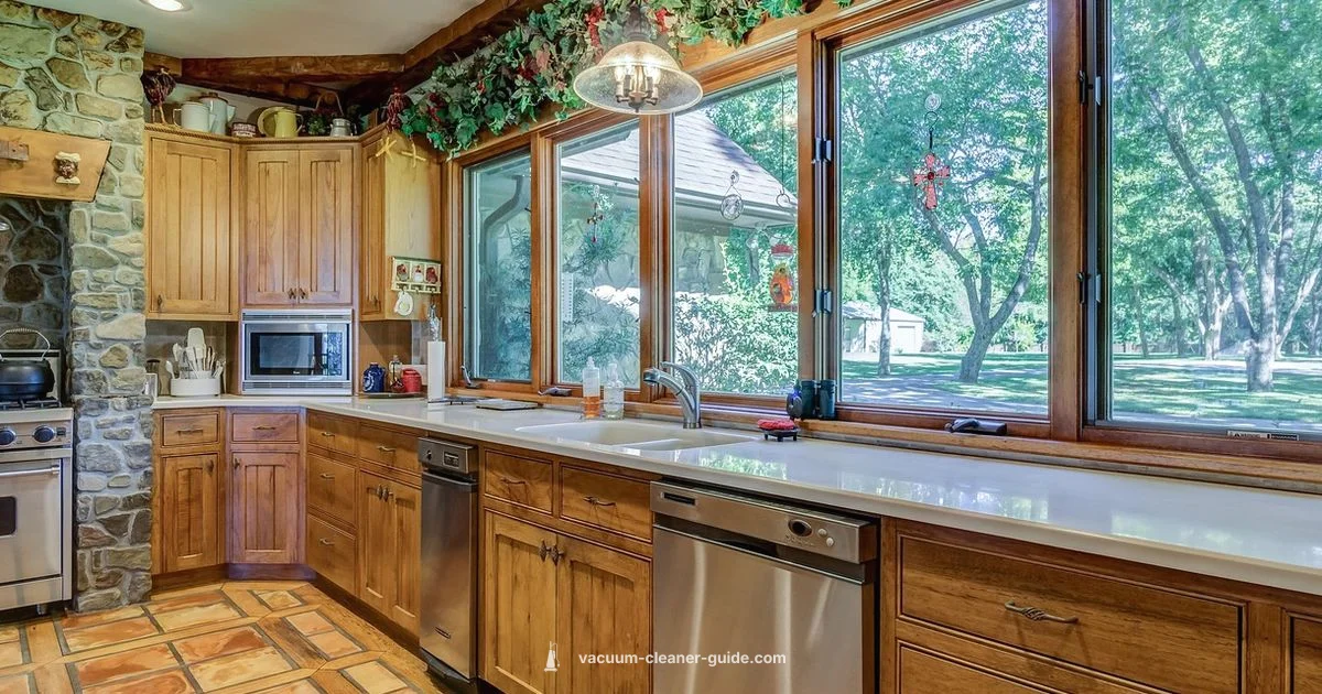 Streak-Free Clarity - Vacuum Cleaner Guide