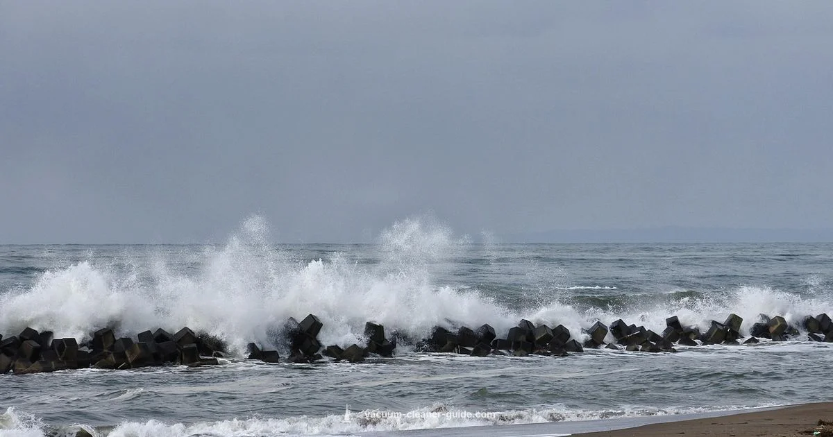 Riptide Pool Vacuum - Vacuum Cleaner Guide