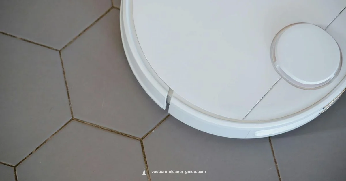 Kirby Cost Snapshot - Vacuum Cleaner Guide