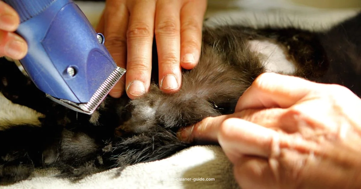 Pet Hair Pick - Vacuum Cleaner Guide