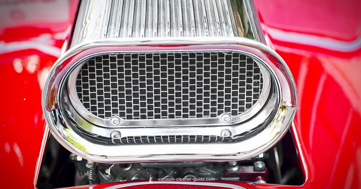 Vacuum as Blower - Vacuum Cleaner Guide