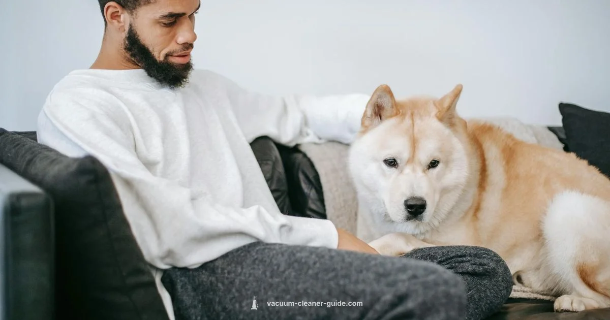 Premium Canister Vacuum - Vacuum Cleaner Guide