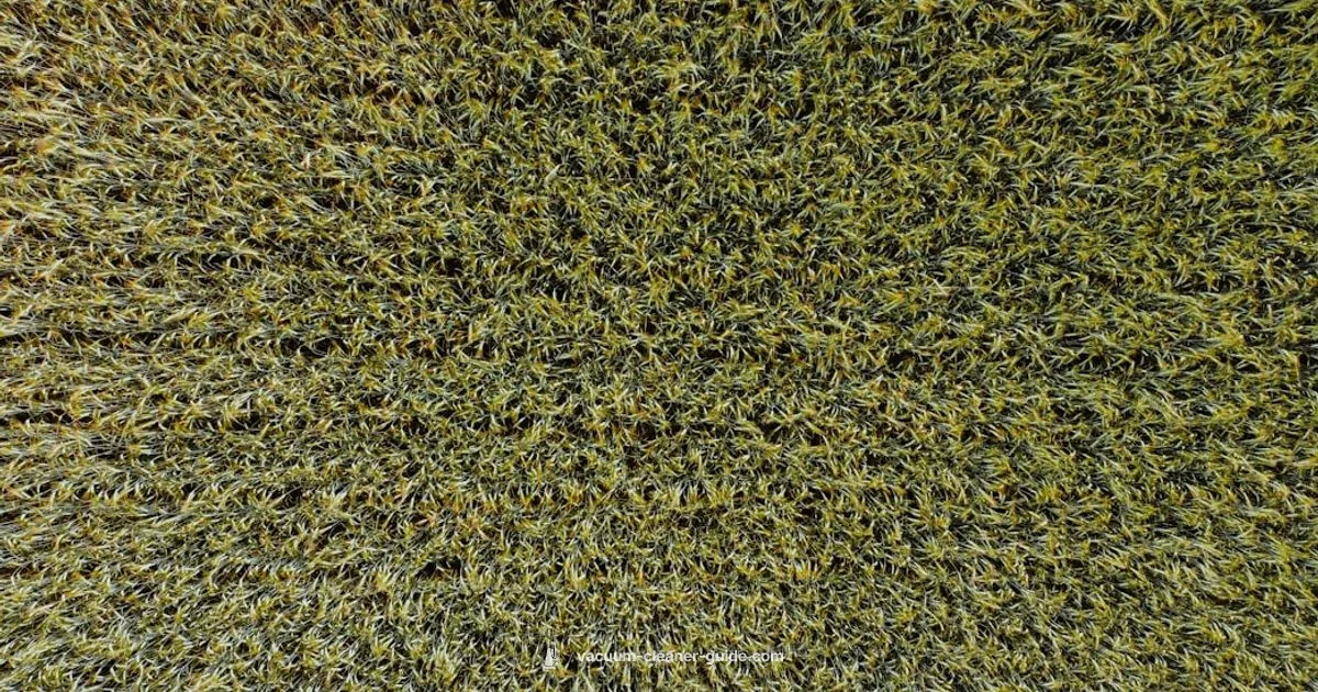 Odor Removal Guide - Vacuum Cleaner Guide