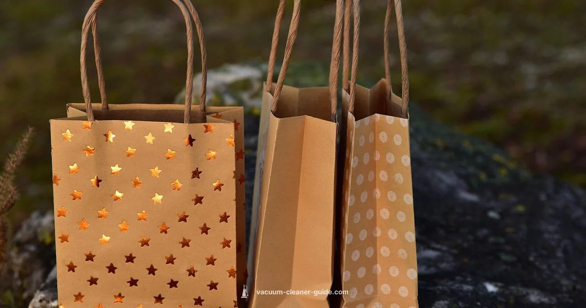 Bag In Vacuum - Vacuum Cleaner Guide