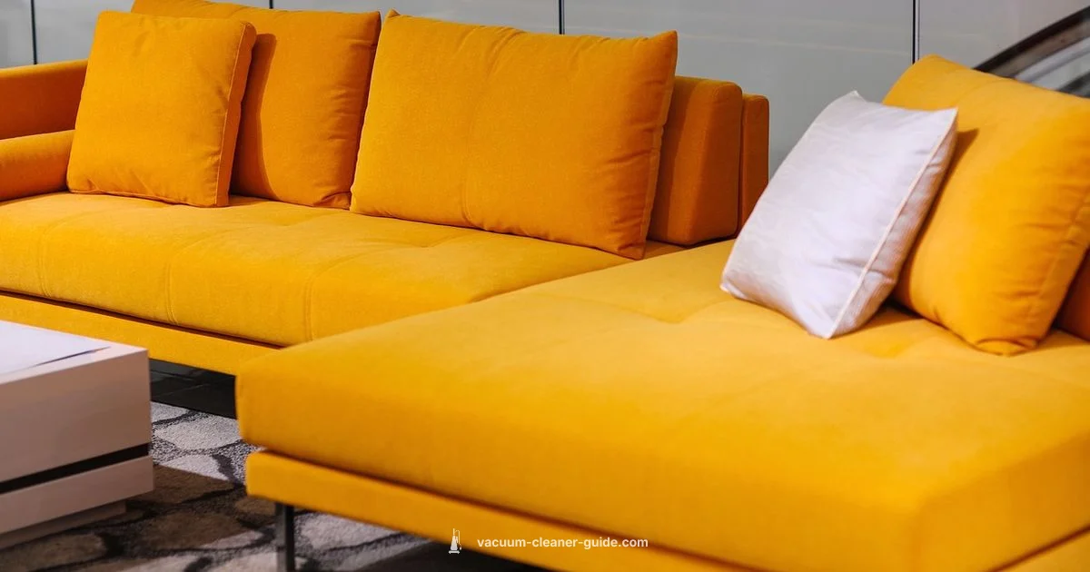 Pet Hair Eraser Review - Vacuum Cleaner Guide