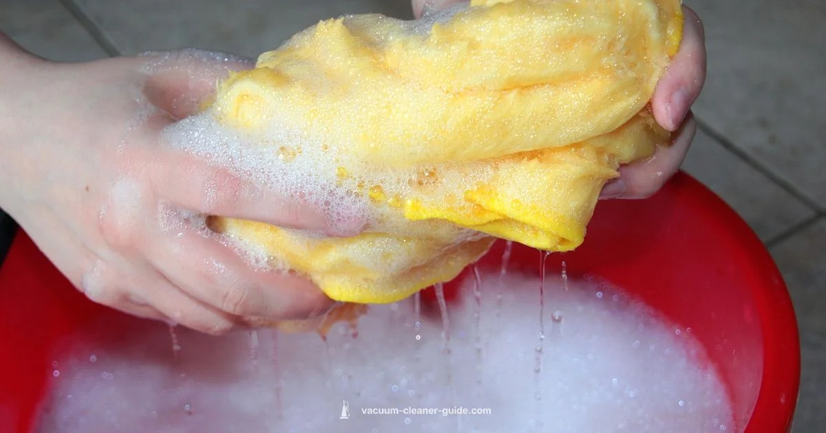 Hot Water Carpet Cleaning - Vacuum Cleaner Guide