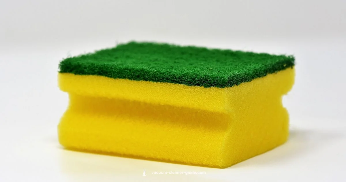 Carpet Cleaning Prep - Vacuum Cleaner Guide