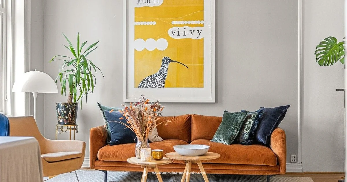 Best Value Picks - Vacuum Cleaner Guide