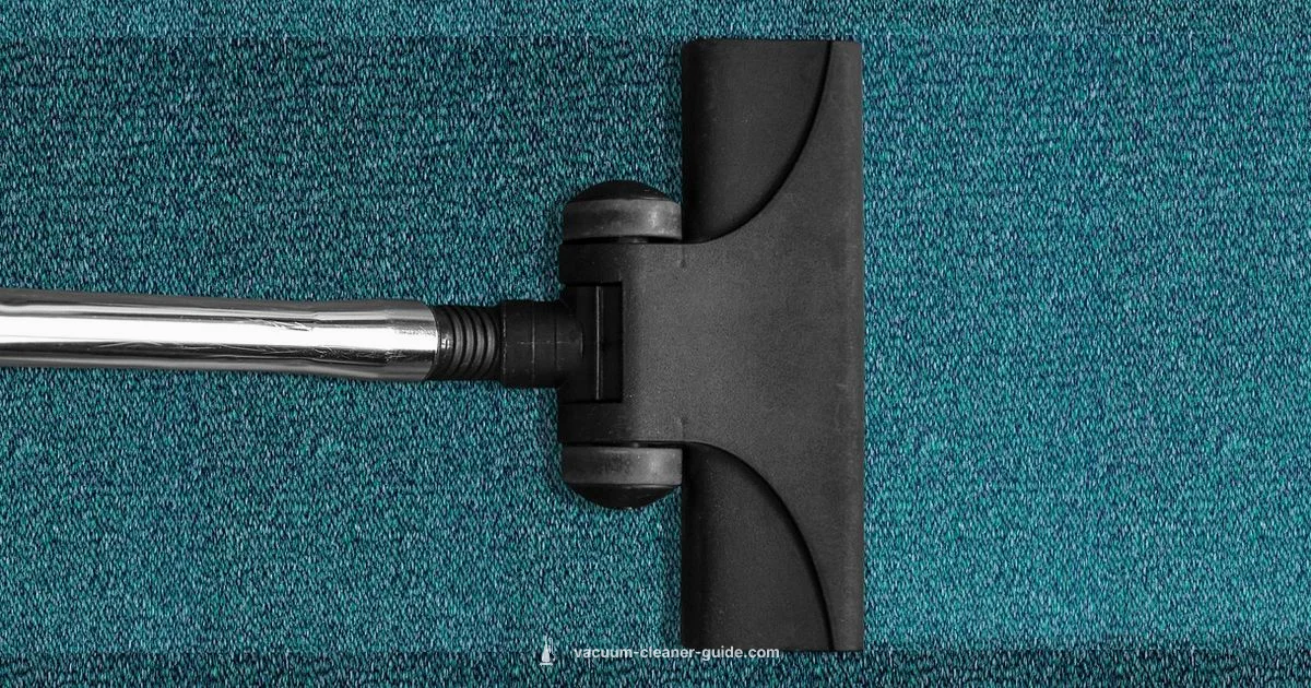 Best Pet Hair Vacuums Best Pet Hair Vacuums - Vacuum Cleaner Guide