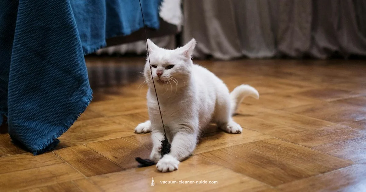 Top Picks 2026 - Vacuum Cleaner Guide