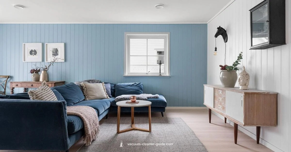 Carpet Cleaner Showdown - Vacuum Cleaner Guide