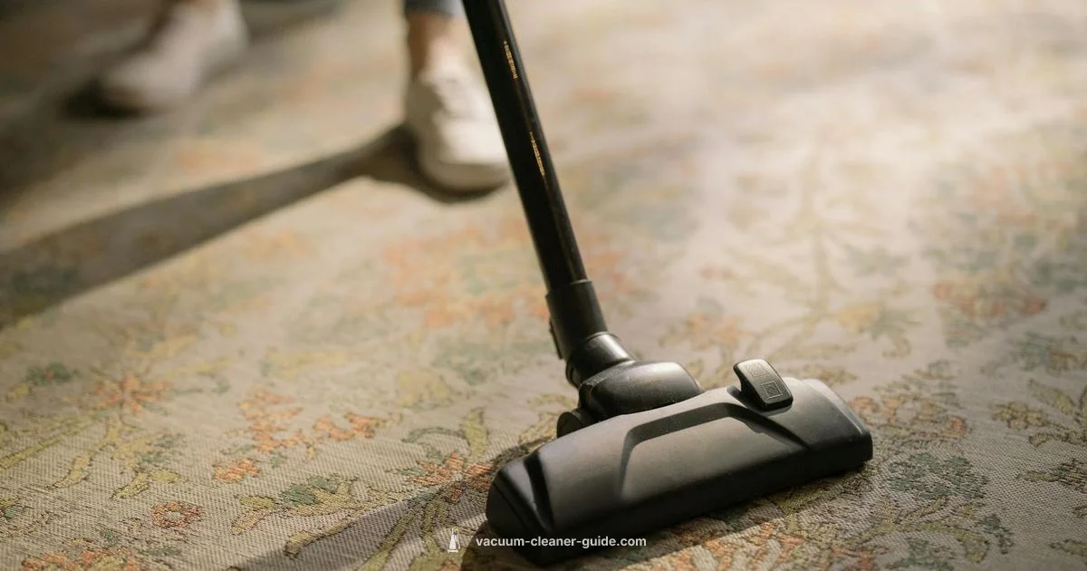 Stain-Free Carpets - Vacuum Cleaner Guide