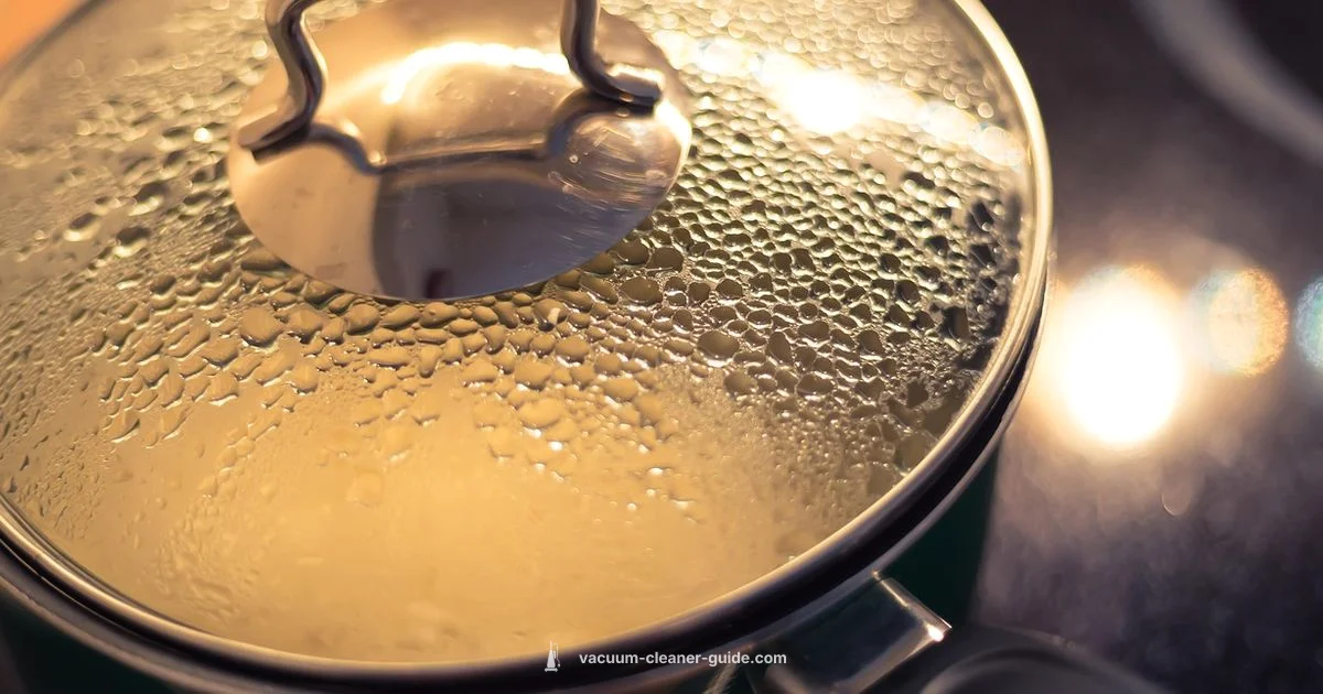 Steam + Vacuum Duo - Vacuum Cleaner Guide