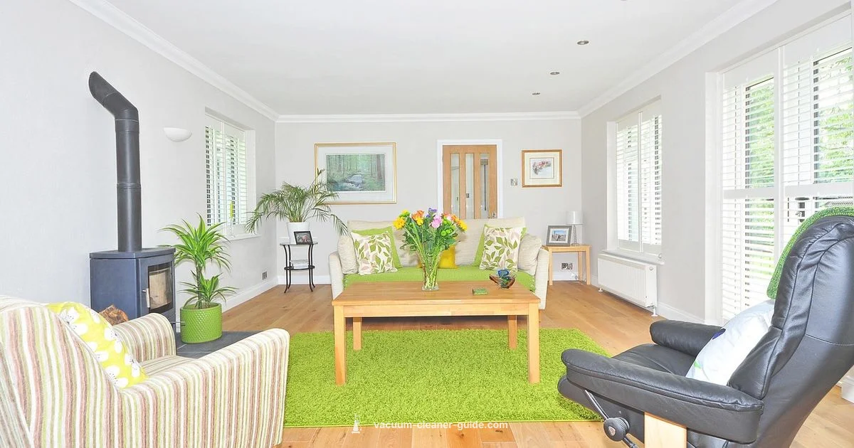 Baking Soda Guide - Vacuum Cleaner Guide