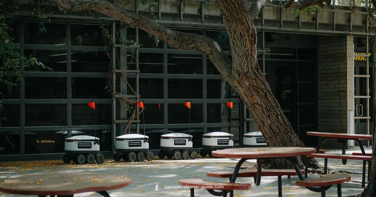 Self Empty Guide - Vacuum Cleaner Guide