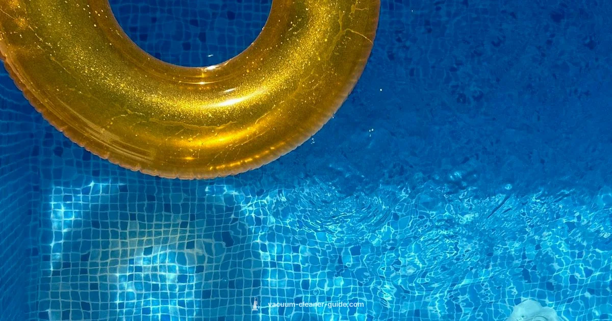 Intex Pool Vacuum Review - Vacuum Cleaner Guide