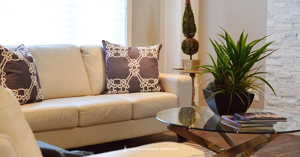 Vacuum Use Guide - Vacuum Cleaner Guide