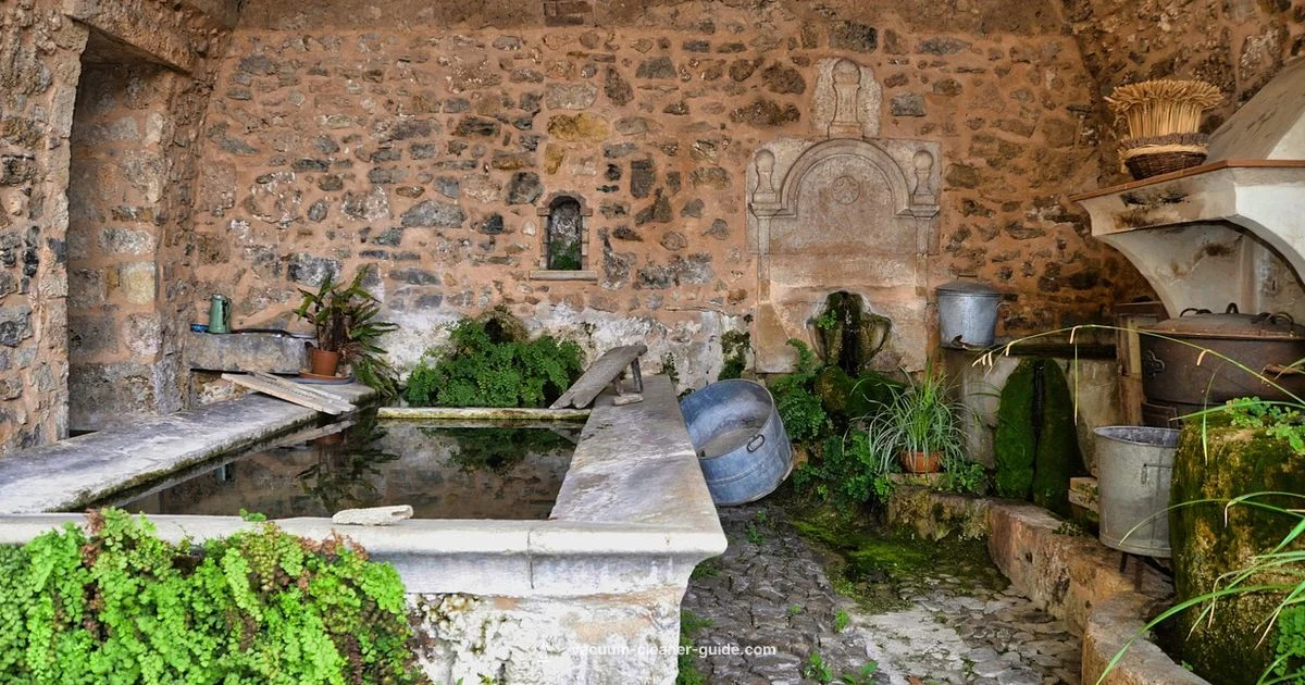 Carpet Cleaner Longevity - Vacuum Cleaner Guide