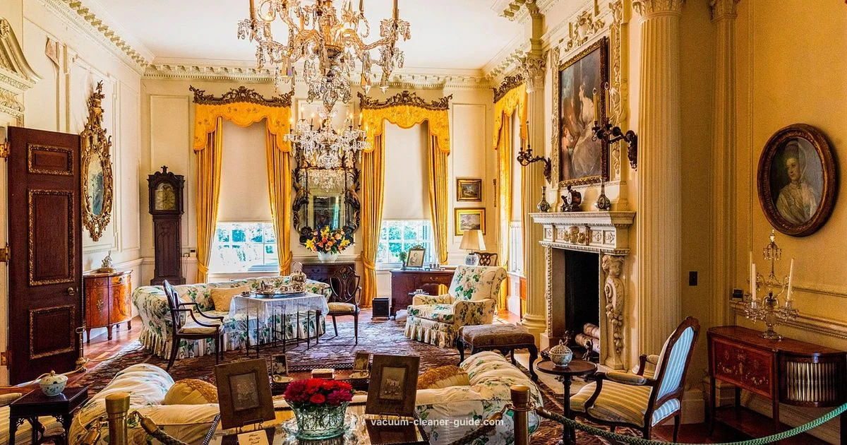 Mid-Century Rise - Vacuum Cleaner Guide