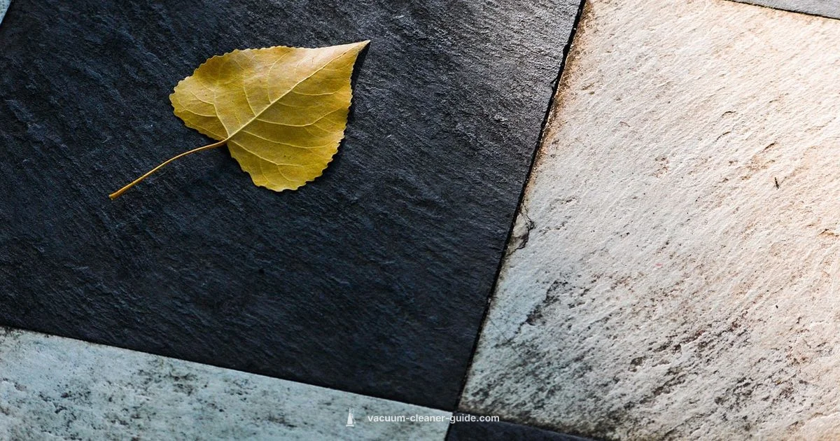 Tile Floor Guide - Vacuum Cleaner Guide