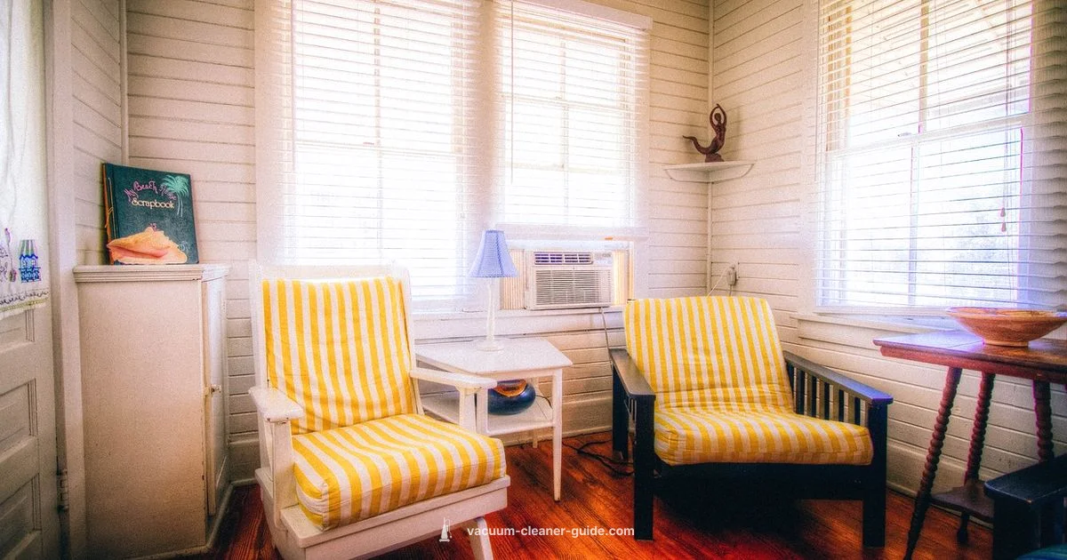 Top Home Vacuums - Vacuum Cleaner Guide