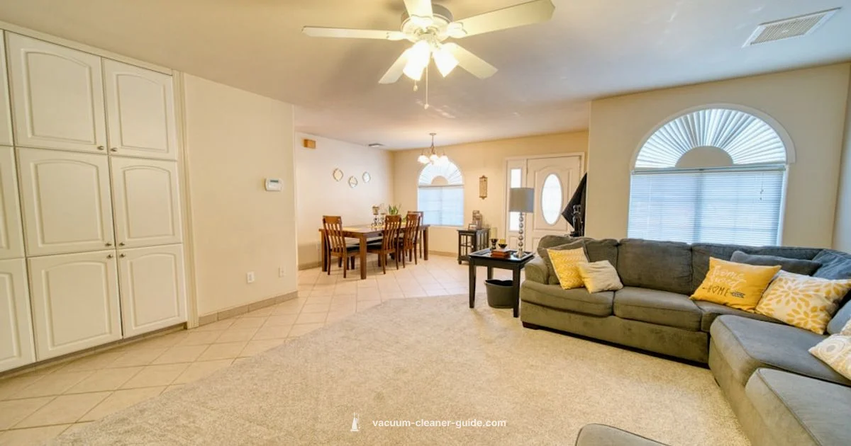 Cleaner Type Showdown - Vacuum Cleaner Guide