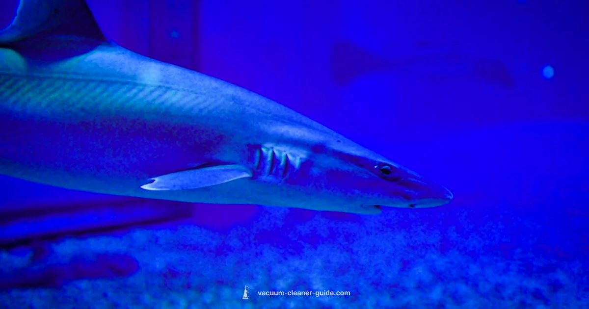 Shark Lifespan Guide - Vacuum Cleaner Guide