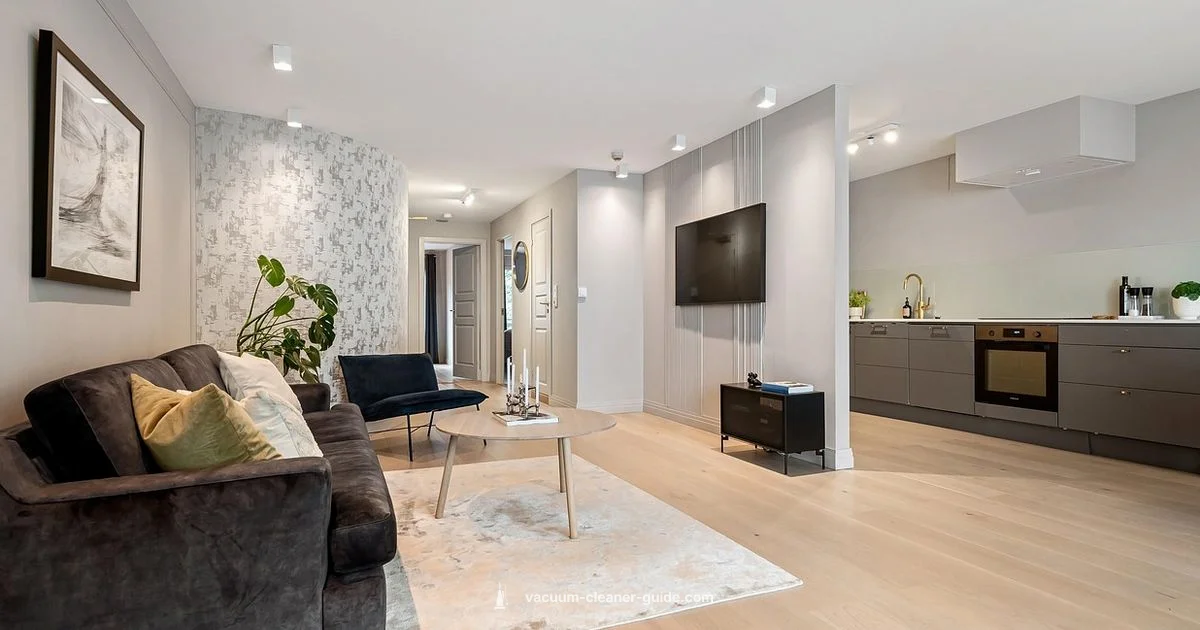 Lightweight Carpet Cleaners - Vacuum Cleaner Guide