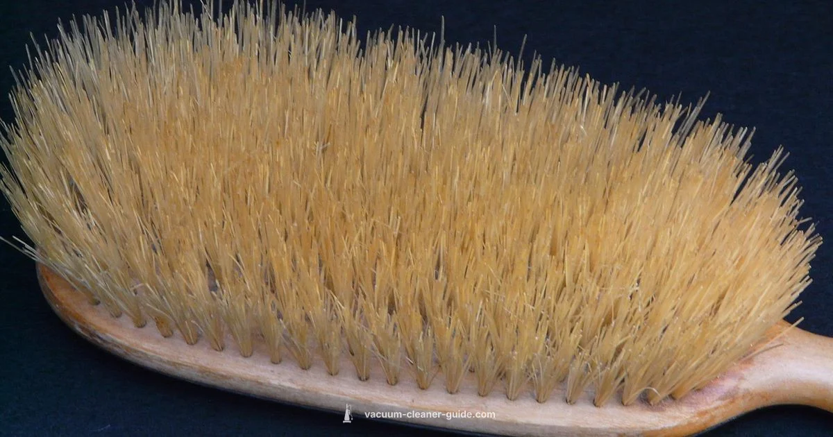 Brush Roller Guide - Vacuum Cleaner Guide