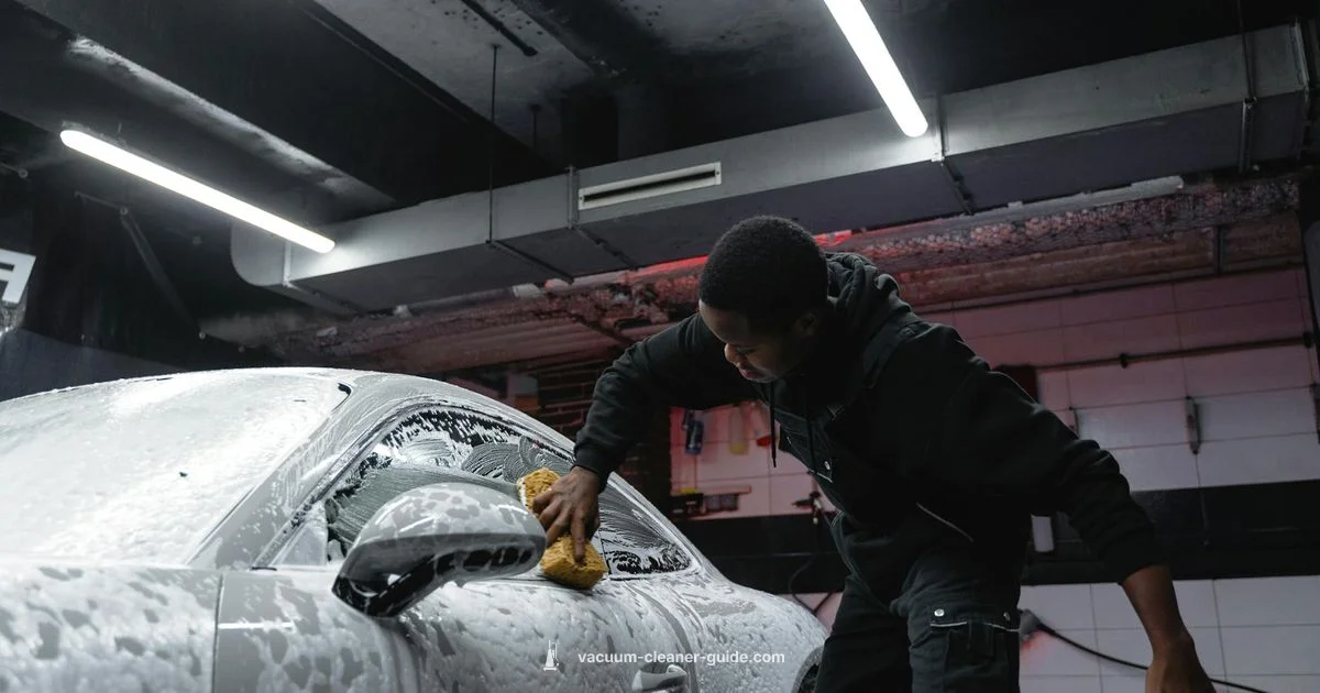 Carpet Cleaner Earnings - Vacuum Cleaner Guide