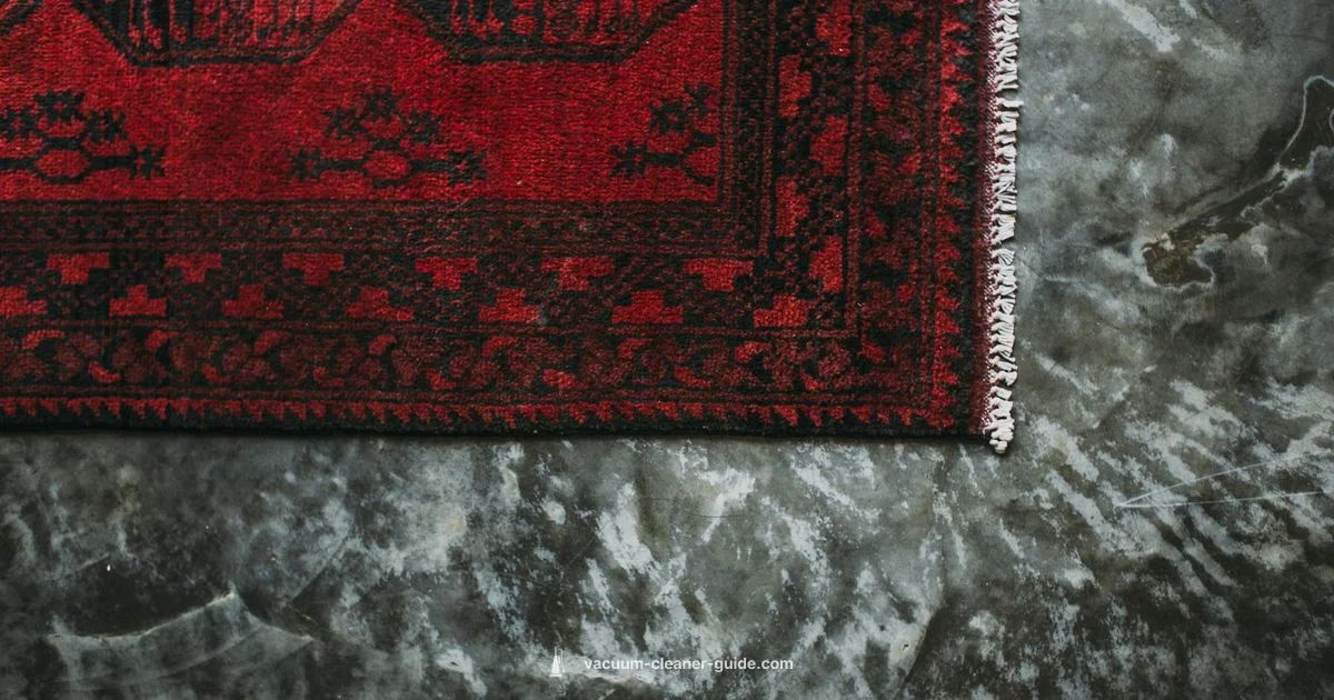 Slim Nickel Pro - Vacuum Cleaner Guide