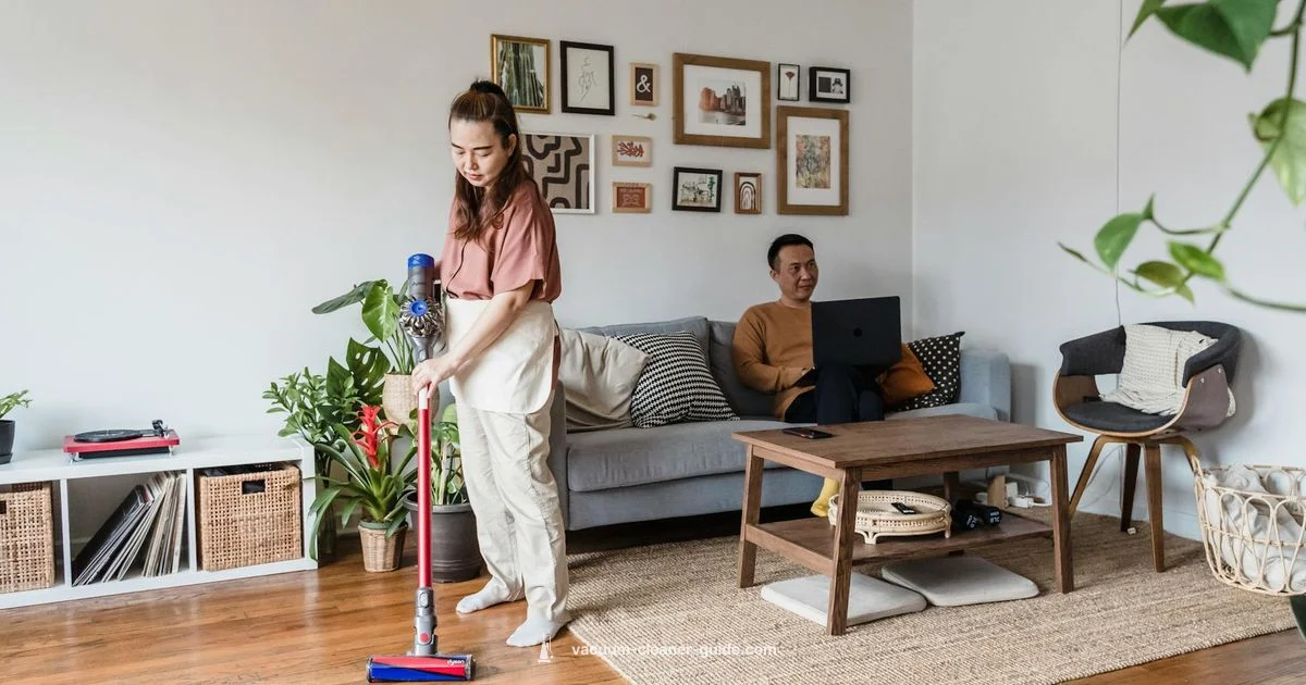 Central Vac vs Dyson - Vacuum Cleaner Guide