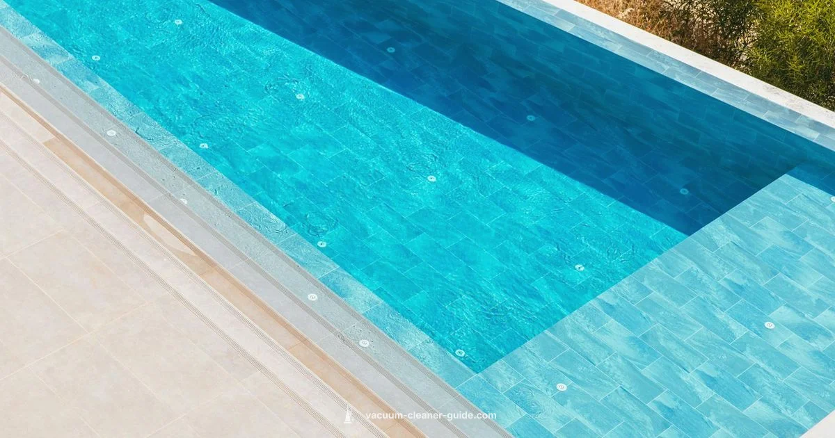 Top Above-Ground Vacuums - Vacuum Cleaner Guide