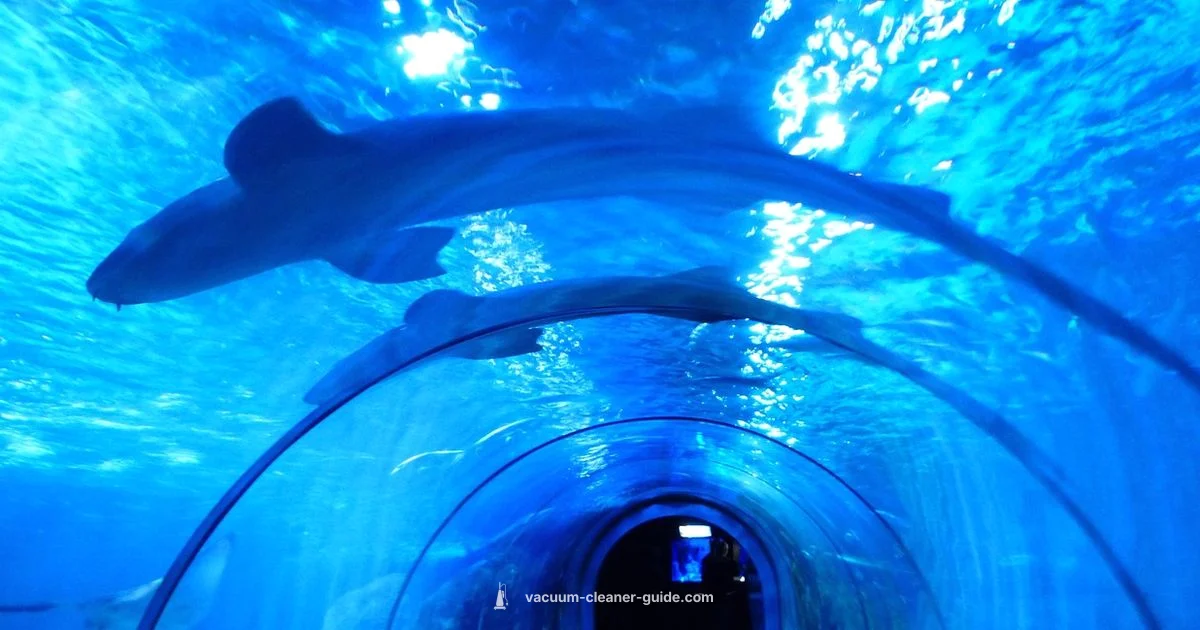 Shark Rocket Filters - Vacuum Cleaner Guide