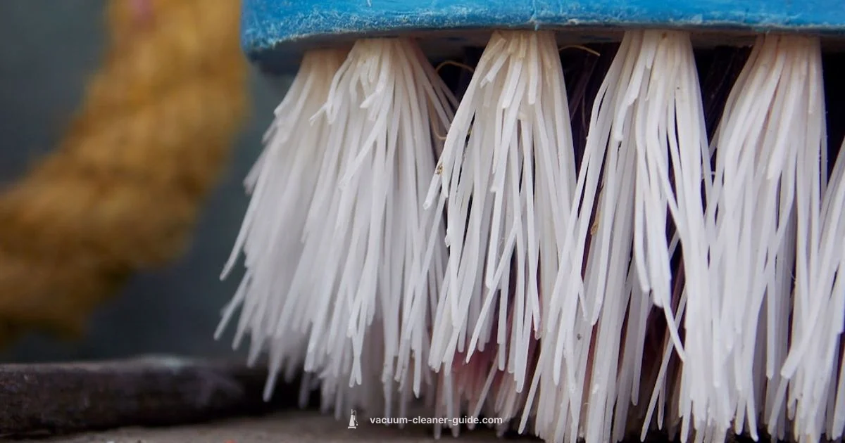 Brush Roll Essentials - Vacuum Cleaner Guide