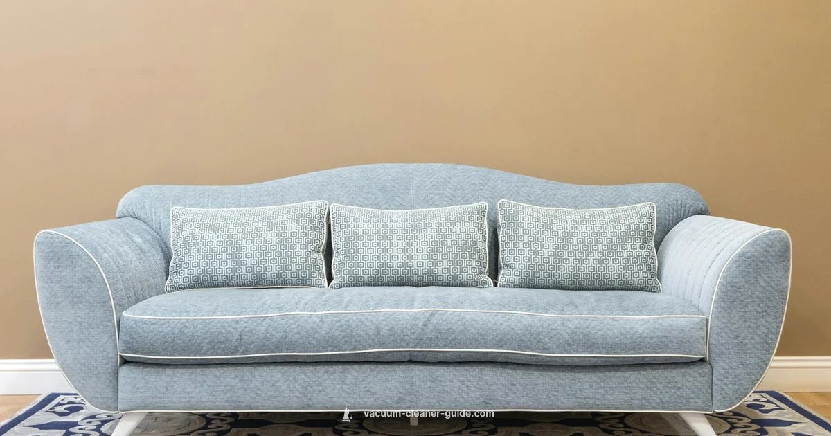 Spot Cleaner Showdown - Vacuum Cleaner Guide