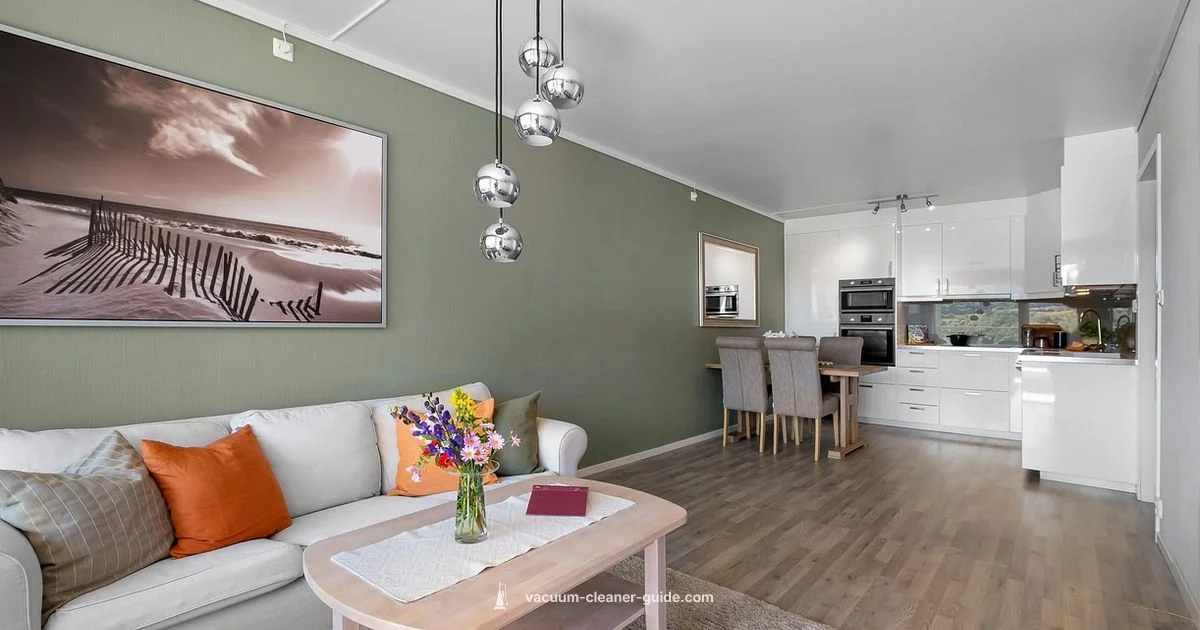 Steam Carpet Guide - Vacuum Cleaner Guide