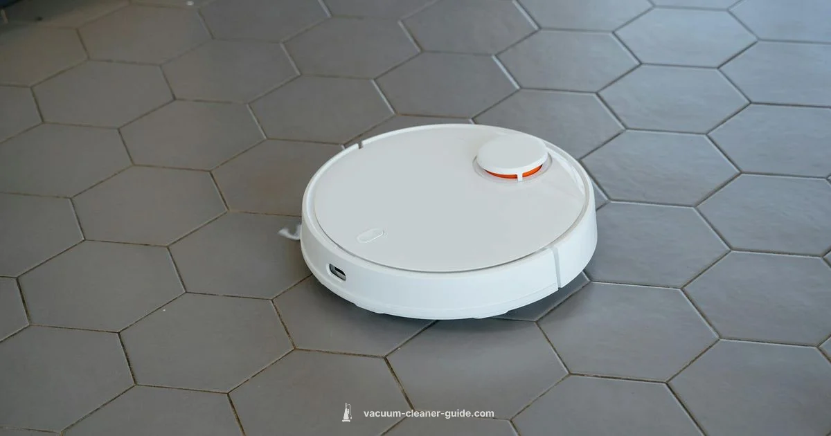 Bagless Vacuum Overview - Vacuum Cleaner Guide