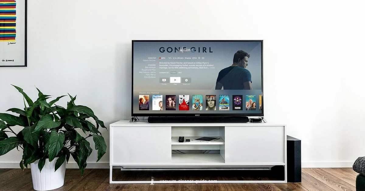 Top Hardwood Picks - Vacuum Cleaner Guide