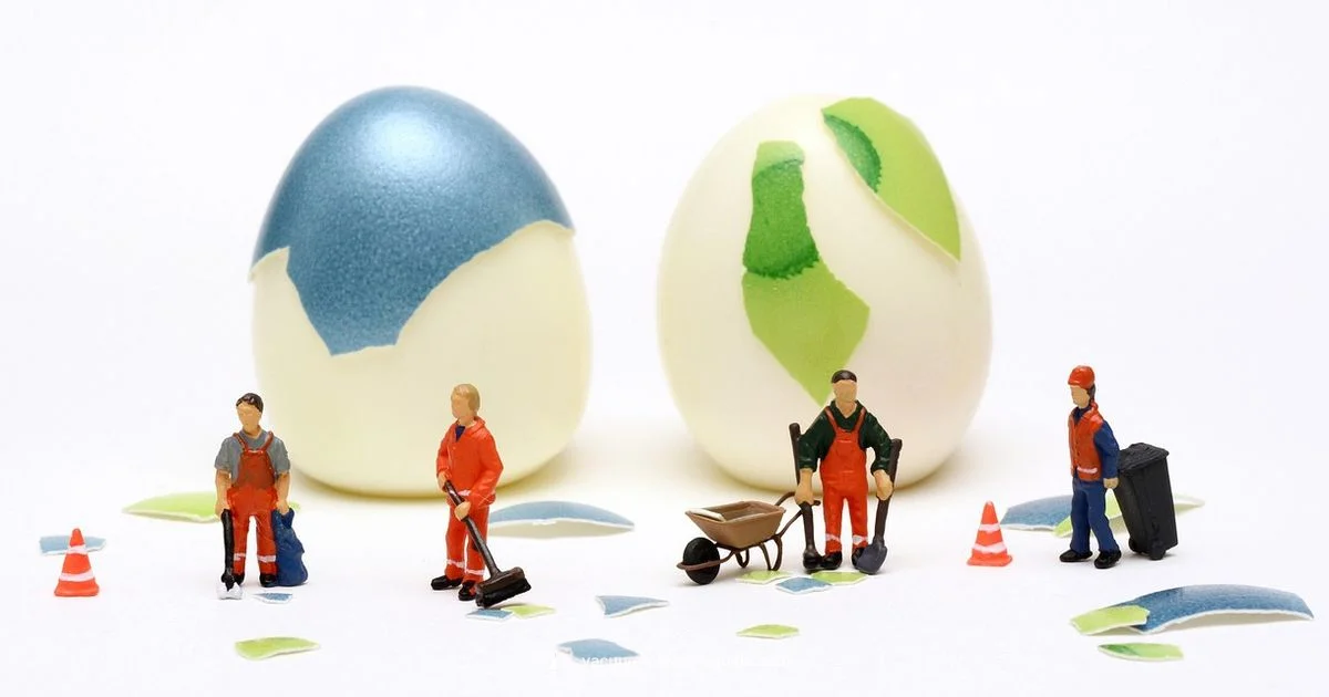 Robot Vacuum Cleaning Essentials - Vacuum Cleaner Guide