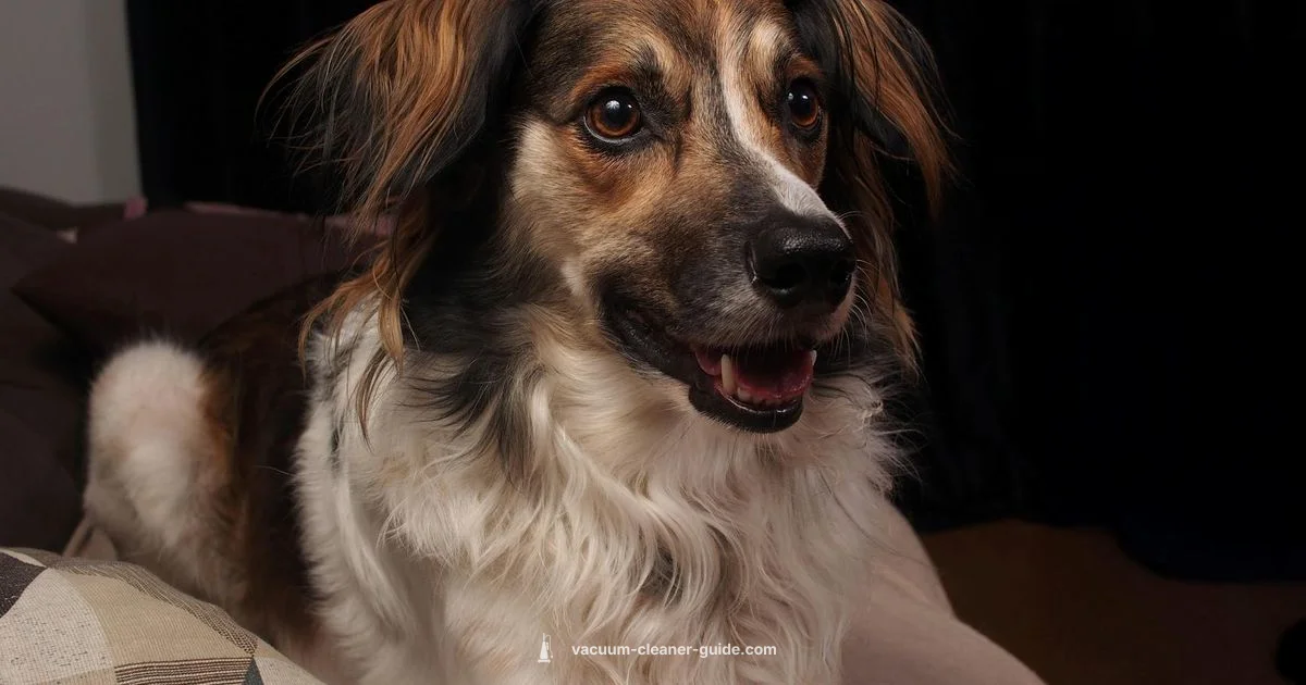 Smart Roomba Review - Vacuum Cleaner Guide